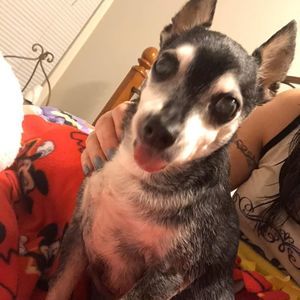 Meet your Posher, Elaina